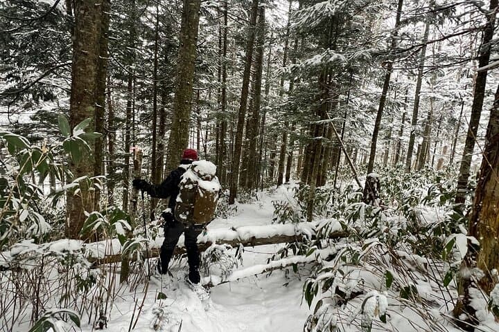 Full Day Snowshoeing Adventures with Onsen. — photo 12