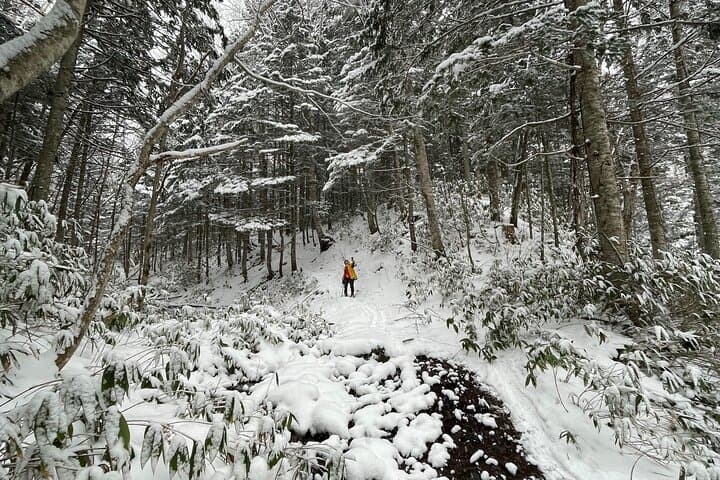 Full Day Snowshoeing Adventures with Onsen. — photo 13