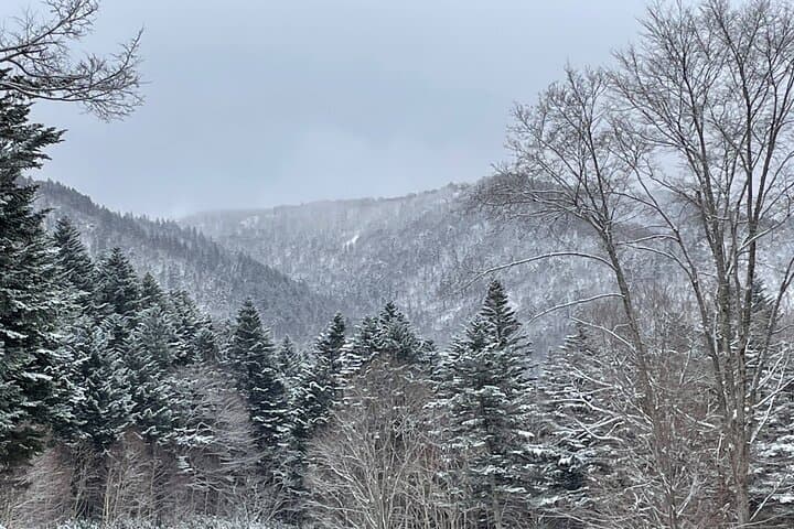 Full Day Snowshoeing Adventures with Onsen. — photo 14
