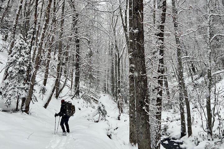 Full Day Snowshoeing Adventures with Onsen. — photo 15