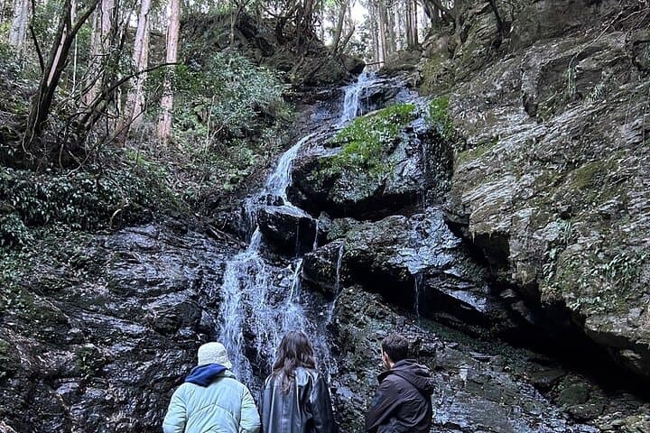Yoshino Full Day Cycling + Hiking Tour — photo 4