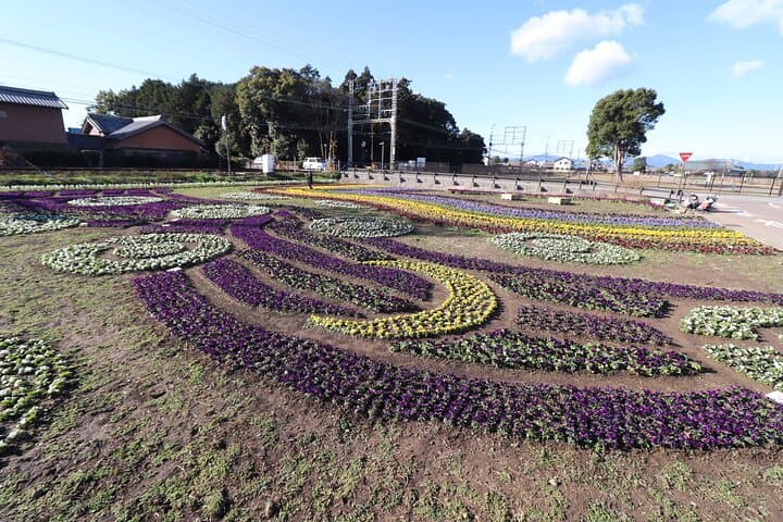 3 Hours Historical Tour of Princess Saio on an Electric Cart — photo 4