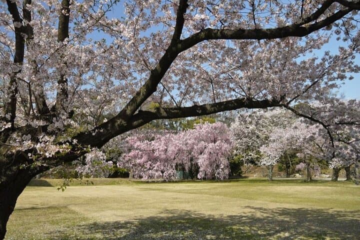 Kyoto's World Heritage Walking Tour from Kyoto st. — photo 6