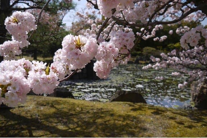 Kyoto's World Heritage Walking Tour from Kyoto st. — photo 7