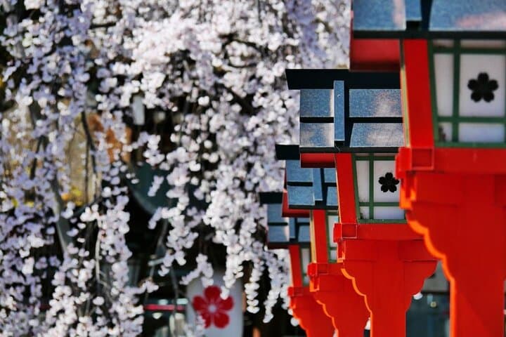 Kyoto's World Heritage Walking Tour from Kyoto st. — photo 8
