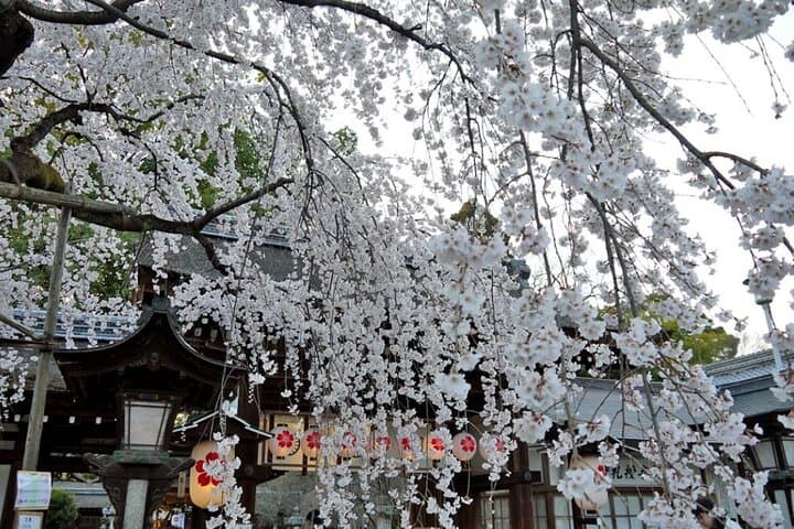 Kyoto's World Heritage Walking Tour from Kyoto st. — photo 9