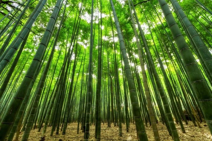 All Inclusive Private Tour Kamakura tour on a luxury car — photo 8
