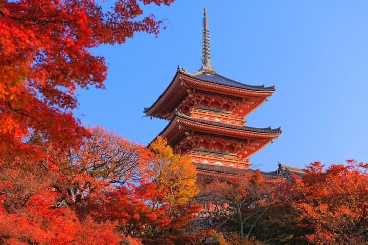Private Day Tour in Osaka and Kyoto with charter car — photo 2