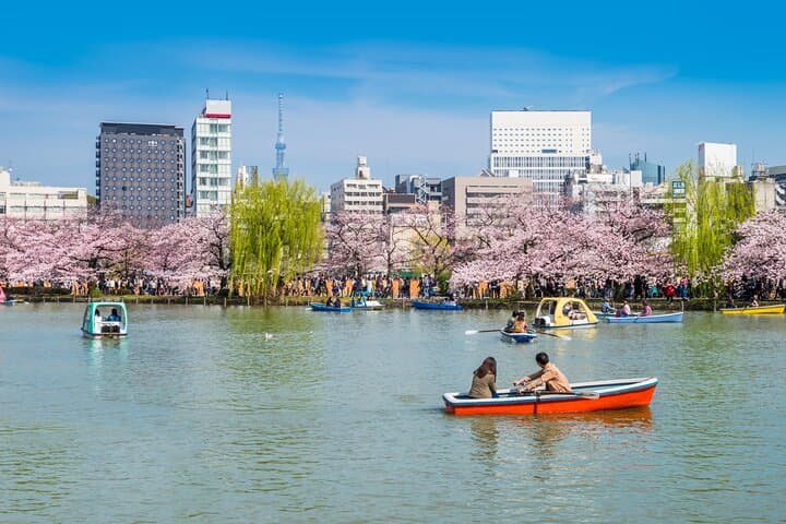 Tokyo Full Day Private Explorer Walking Tour — photo 2