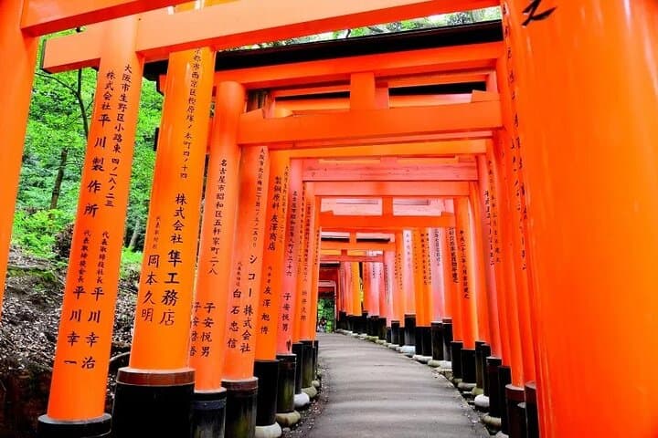 Private Day Tour in Osaka and Kyoto with charter car — photo 9