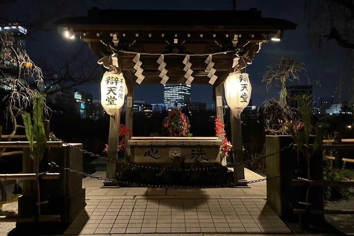 Ueno Private Walking Tour and Night Food Tour — photo 1