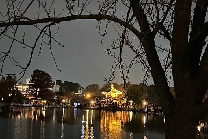 Ueno Private Walking Tour and Night Food Tour — photo 3