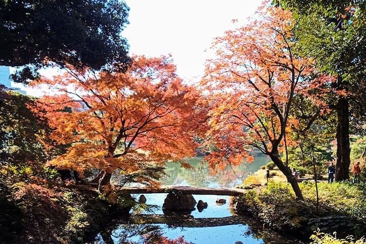Private tour! Wash Bodhisattva and Explore Japanese Garden. — photo 8