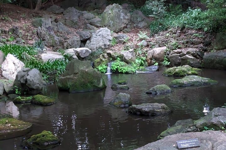 Private tour! Wash Bodhisattva and Explore Japanese Garden. — photo 7