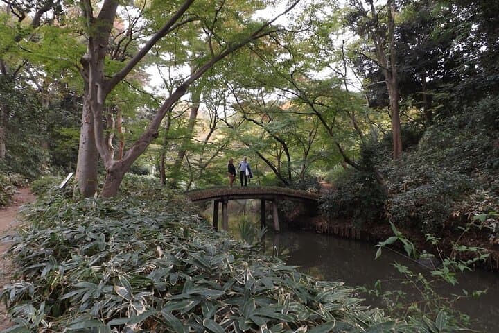 Private tour! Wash Bodhisattva and Explore Japanese Garden. — photo 9