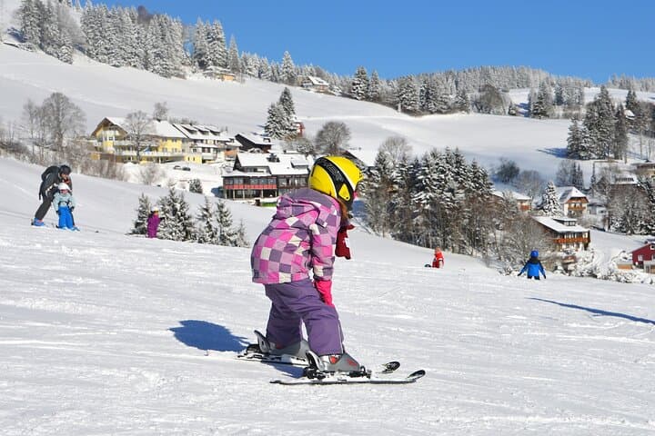 1-day Private Ski Lesson from Tokyo/optional Mt. Fuji Sightseeing — photo 3