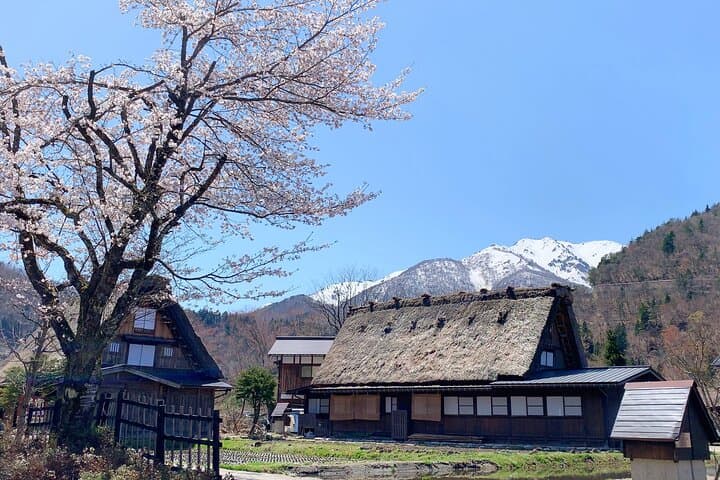 Shirakawa-go and Hida-Takayama Private Day Trip from Nagoya — photo 2