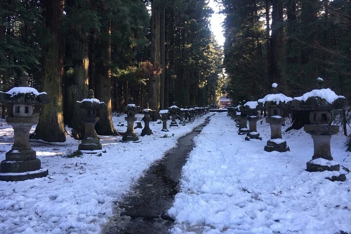 1-day Private Ski Lesson from Tokyo/optional Mt. Fuji Sightseeing — photo 15