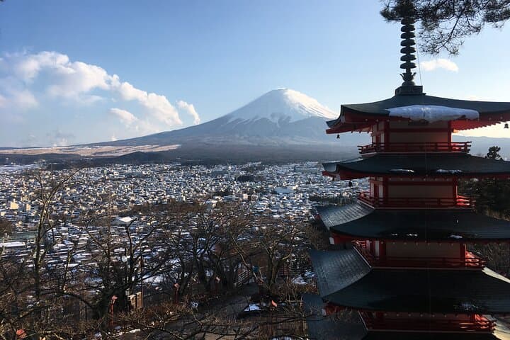 1-day Private Ski Lesson from Tokyo/optional Mt. Fuji Sightseeing — photo 16