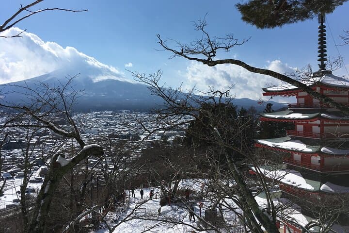 1-day Private Ski Lesson from Tokyo/optional Mt. Fuji Sightseeing — photo 17