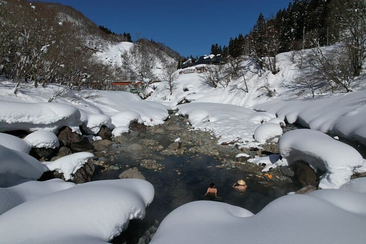 A Secret Wild Outdoor Bath Rotenburo experience from NAGANO — photo 12