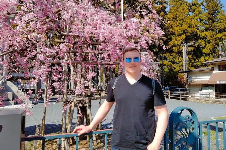 Mt. Koya 8hr Tour from Osaka: English speaking Driver, No Guide — photo 7