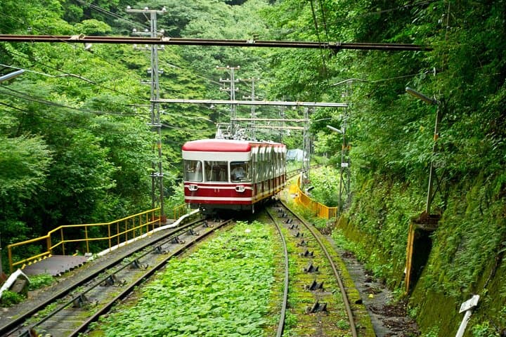 Mt. Koya Sacred 6hr Private Tour with Government Licensed Guide — photo 7