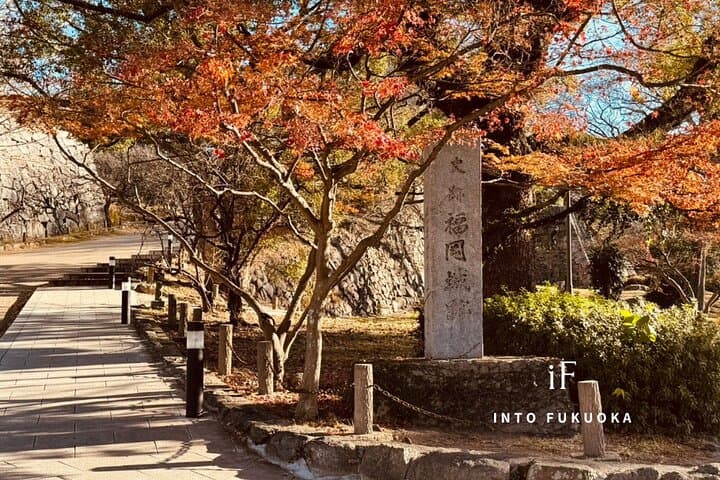 Personalized Fukuoka Experience: Explore, Taste & Discover — photo 4