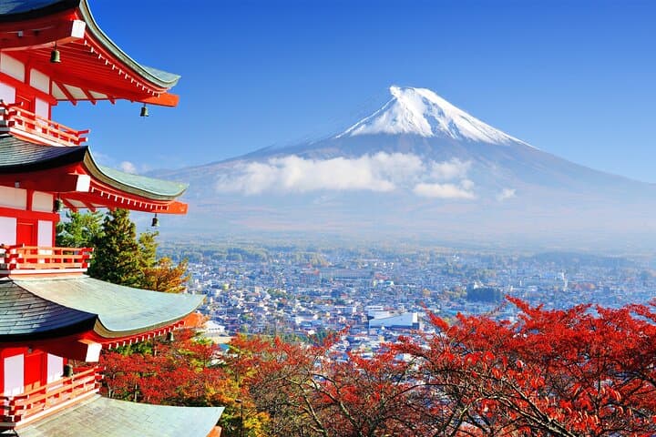 Mt. Fuji & Hakone Private Day Tour with English-Speaking Driver — photo 5