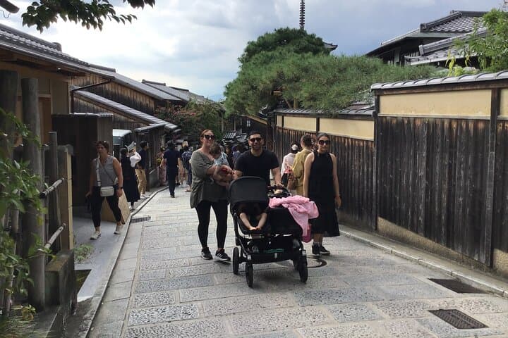 Kyoto 4 hr Gion Private Guided Tour & Maiko or Geisha Dinner — photo 13