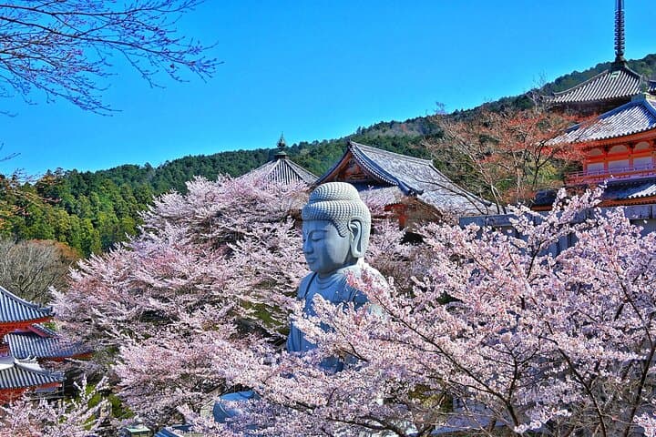 Cherry Blossom Buddha and Mt.Yoshino with Strawberry Picking Tour — photo 2