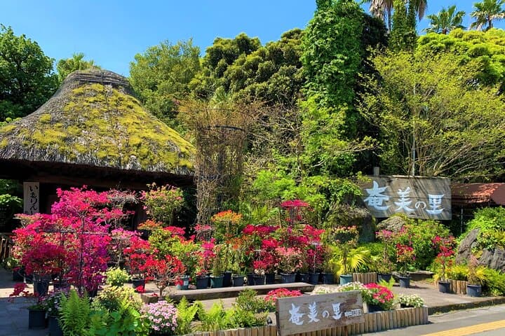 Tradistional Kusaki-zome Dyeing Experience in Kagoshima — photo 10