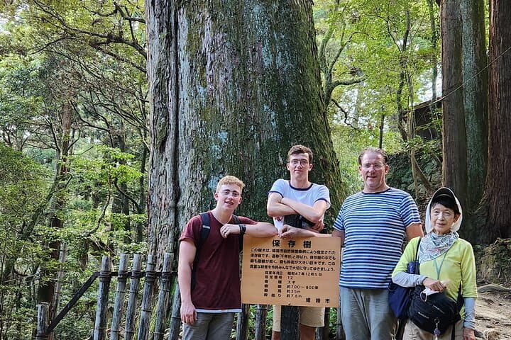 Himeji Full-Day Private Tour with Government-Licensed Guide — photo 10