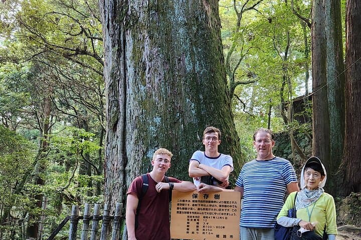 Himeji Half-Day Private Tour with Government-Licensed Guide — photo 8
