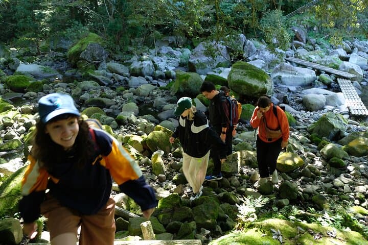 Hike Japan Heritage Hakone Hachiri with certified mountain guide — photo 4