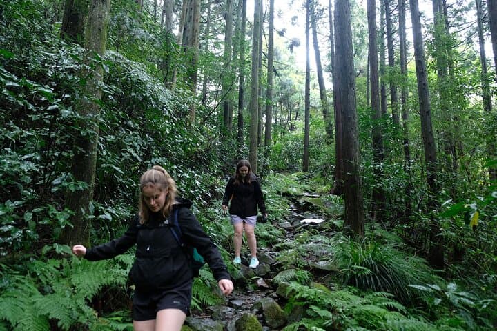 Hike Japan Heritage Hakone Hachiri (Half Day) — photo 4