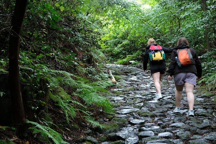 Hike Japan Heritage Hakone Hachiri with certified mountain guide — photo 6