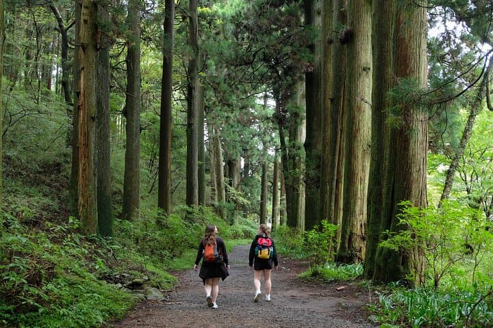 Hike Japan Heritage Hakone Hachiri with certified mountain guide — photo 13