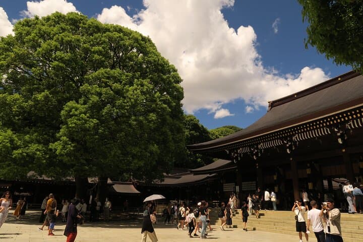 Tokyo in 6 Hours: Private Subway Tour with Licensed English Guide — photo 5