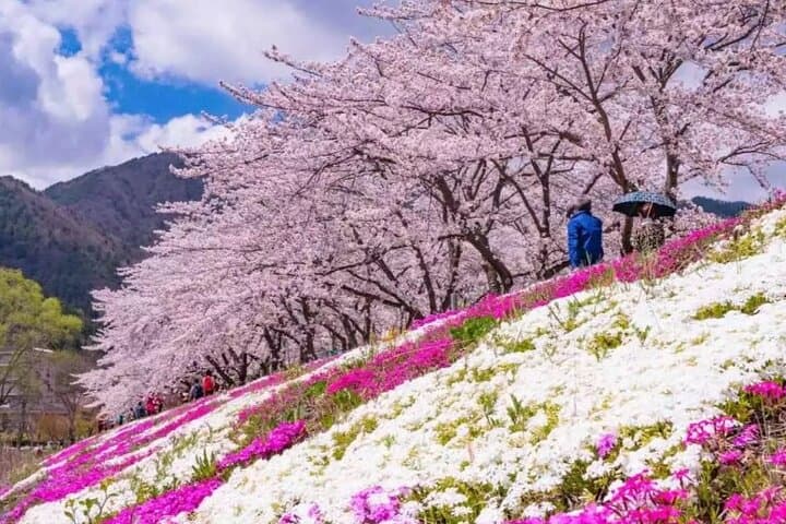 Mt. Fuji Panoramic Ropeway, 5th Station, And Oshino Hakkai Tour — photo 3