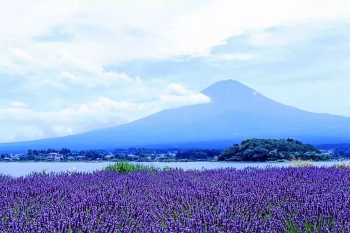Mt. Fuji Panoramic Ropeway, 5th Station, And Oshino Hakkai Tour — photo 4