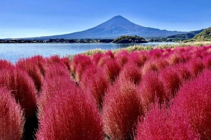 Mt. Fuji Panoramic Ropeway, 5th Station, And Oshino Hakkai Tour — photo 5