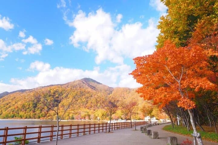 Hokkaido Day Tour from Sapporo: with Bear Park Option — photo 8