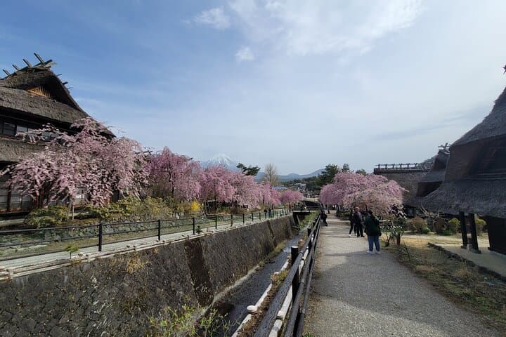 Mt Fuji Day Tour by Car With English Speaking Chauffeurs — photo 2