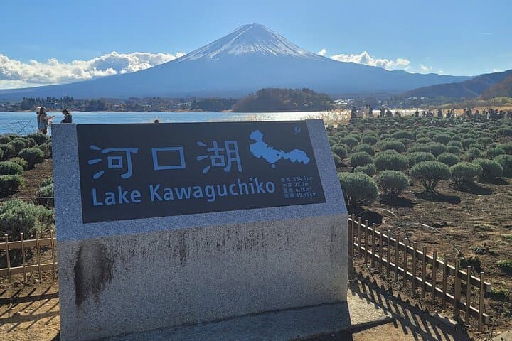 Mt Fuji Day Tour by Car With English Speaking Chauffeurs — photo 3