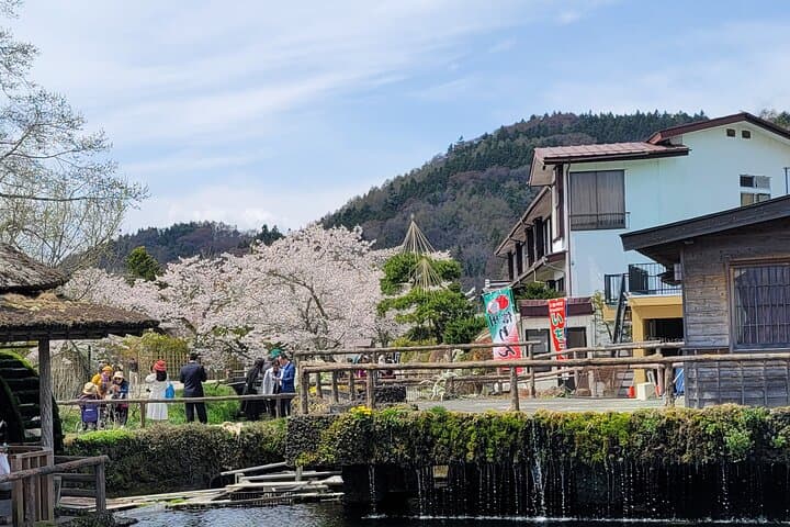 Mt Fuji Day Tour by Car With English Speaking Chauffeurs — photo 4
