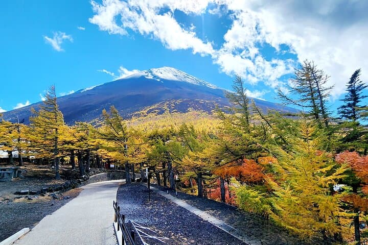 Mt Fuji Day Tour by Car With English Speaking Chauffeurs — photo 5