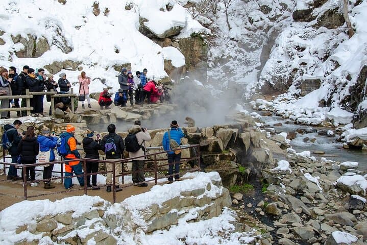 Snow Monkey and Obuse from Nagano — photo 4