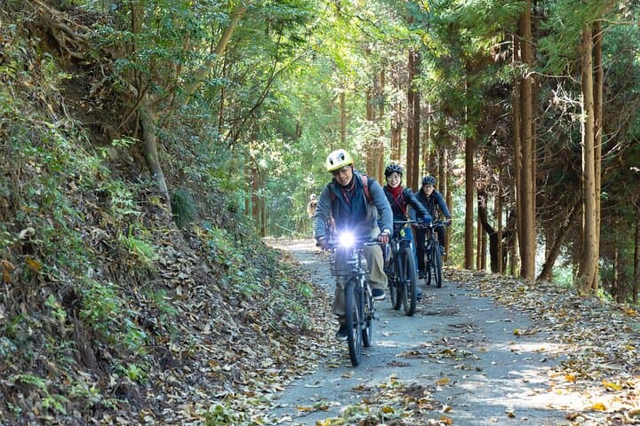 Ukiha's Private Forest Ride — photo 2