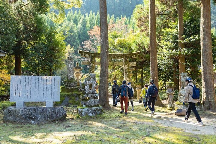 Ukiha's Private Forest Ride — photo 4